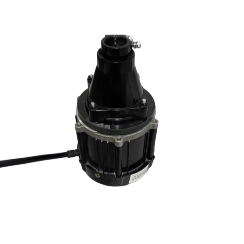 12-60V 500-1500W Brushless Out - Fishing Kayak Trolling Motor reseña y precio